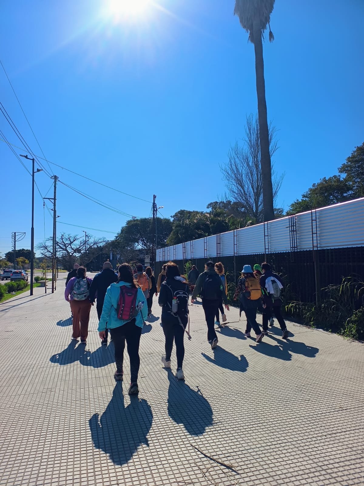 Grupo caminando por la ciudad en un día de sol